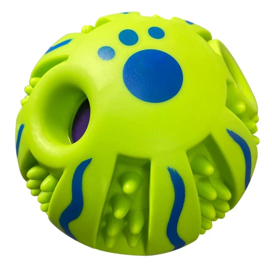 Sound-Making Dog Ball | Roll, Chase & Shared Play