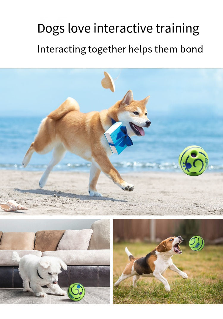 Sound-Making Dog Ball | Roll, Chase & Shared Play