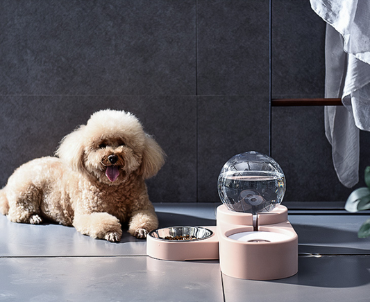 Automatic Pet Water Bowl – Fresh, Clean Water for Dogs & Cats All Day