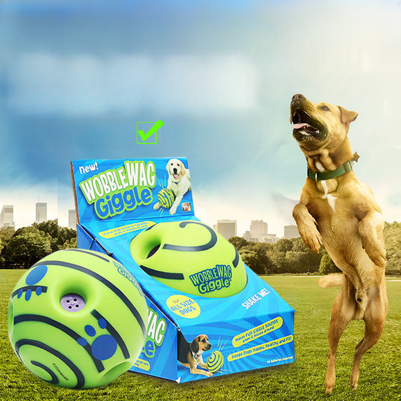 Sound-Making Dog Ball | Roll, Chase & Shared Play