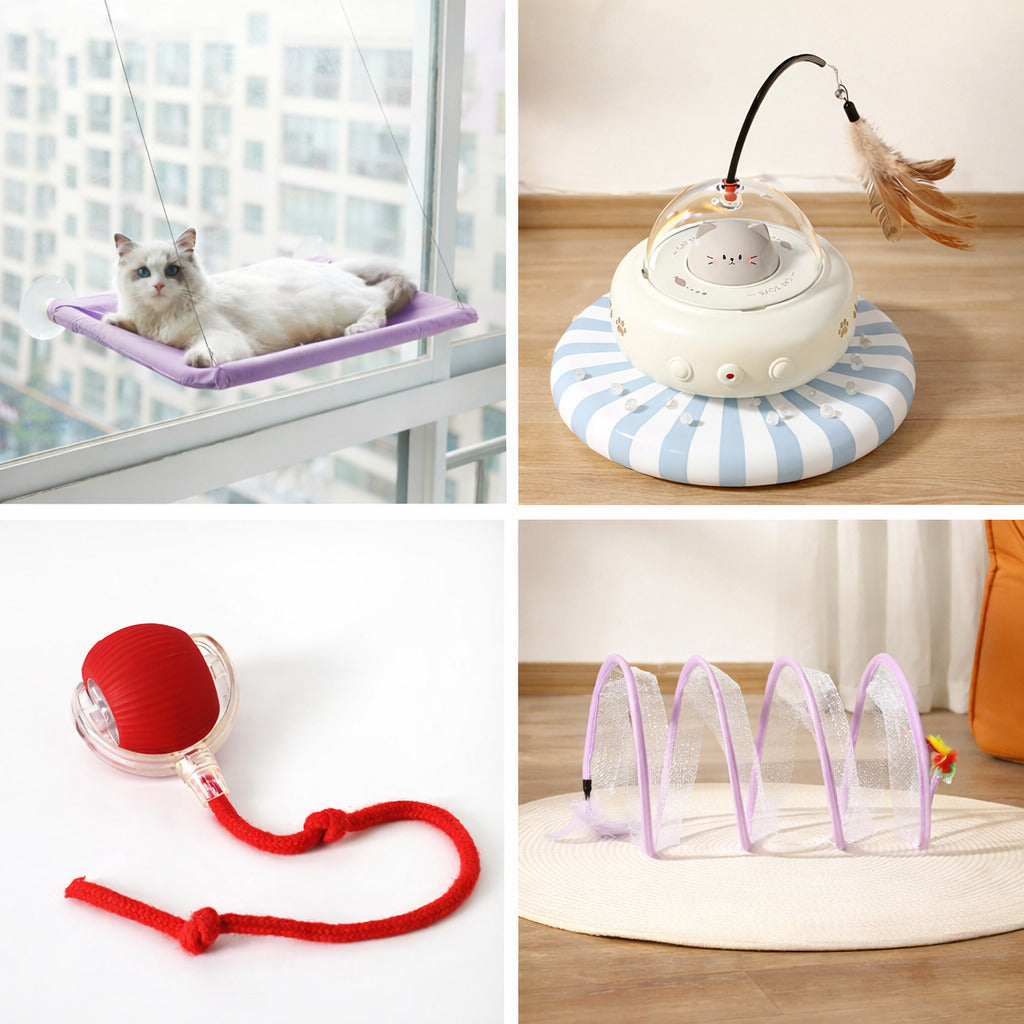 Cat Fun & Comfort