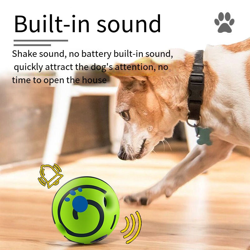 Sound-Making Dog Ball | Roll, Chase & Shared Play