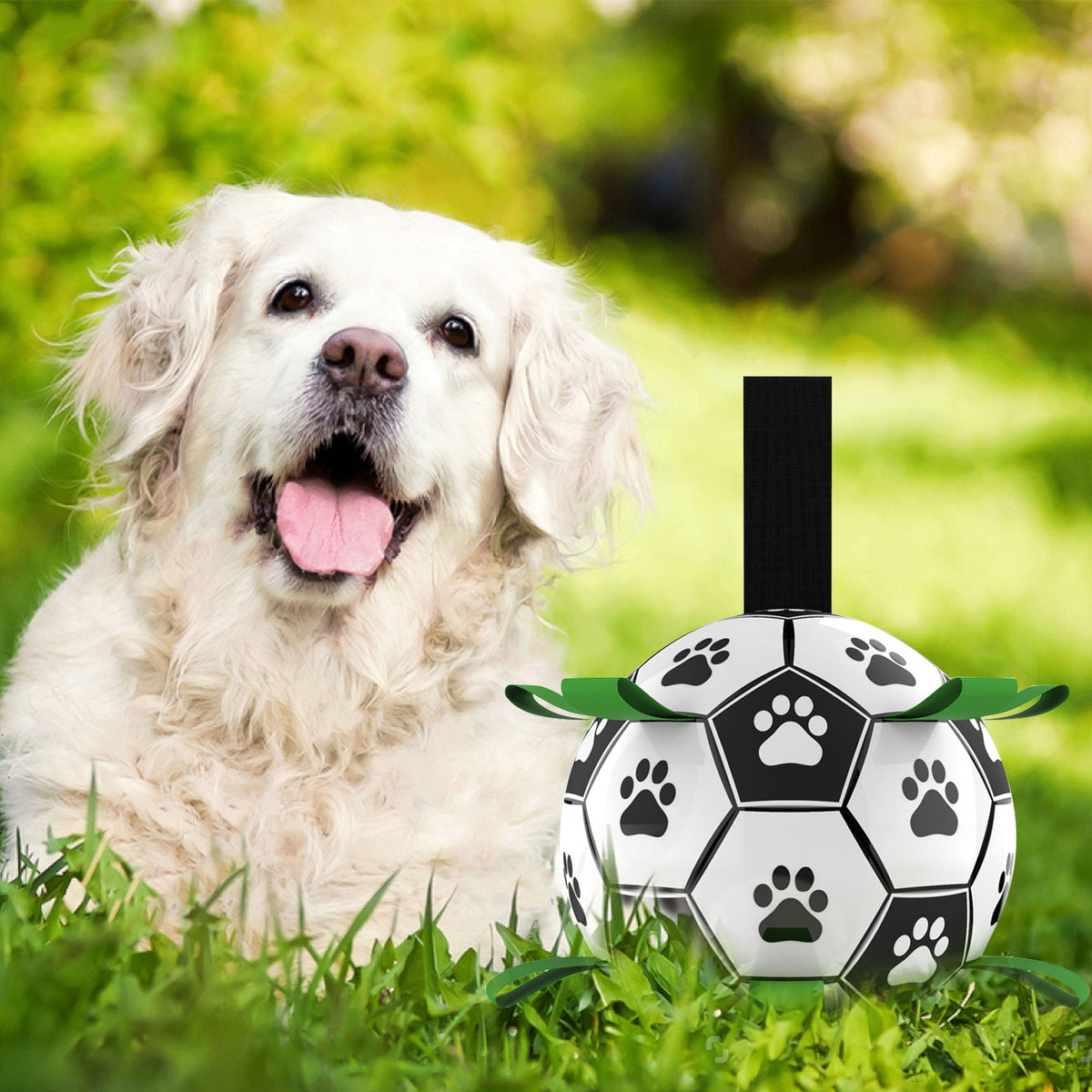 Sound-Making Dog Toy Ball