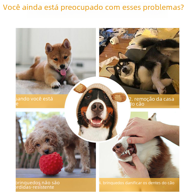 Sound-Making Dog Ball | Roll, Chase & Shared Play