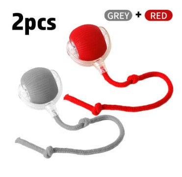 Two dog toys, one red and one gray, with ropes on a white background.