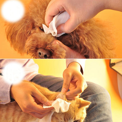 Cat & Dog Paw Cleaning Wipes – Gentle Daily Grooming Wipes for Pets