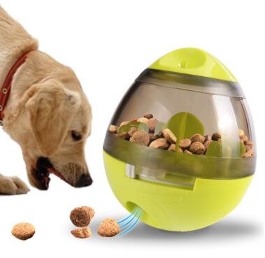 Dog interacting with a green and clear food-dispensing toy on a white background
