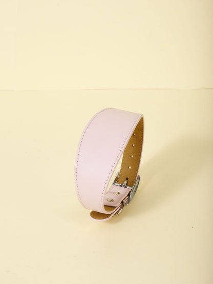 Adjustable Pet Collar – Soft, Stylish & Perfect Fit for Every Dog