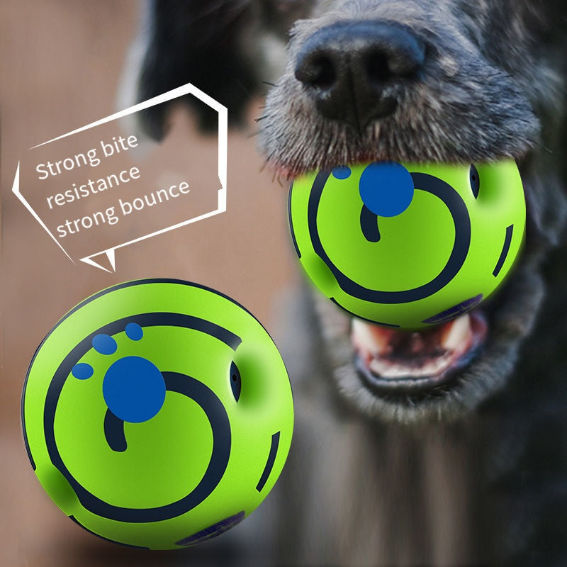 Sound-Making Dog Ball | Roll, Chase & Shared Play