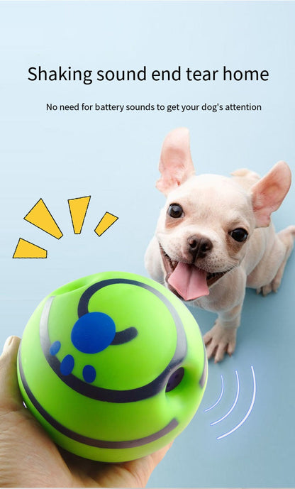Sound-Making Dog Ball | Roll, Chase & Shared Play