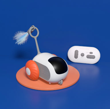 Interactive Cat Car Toy