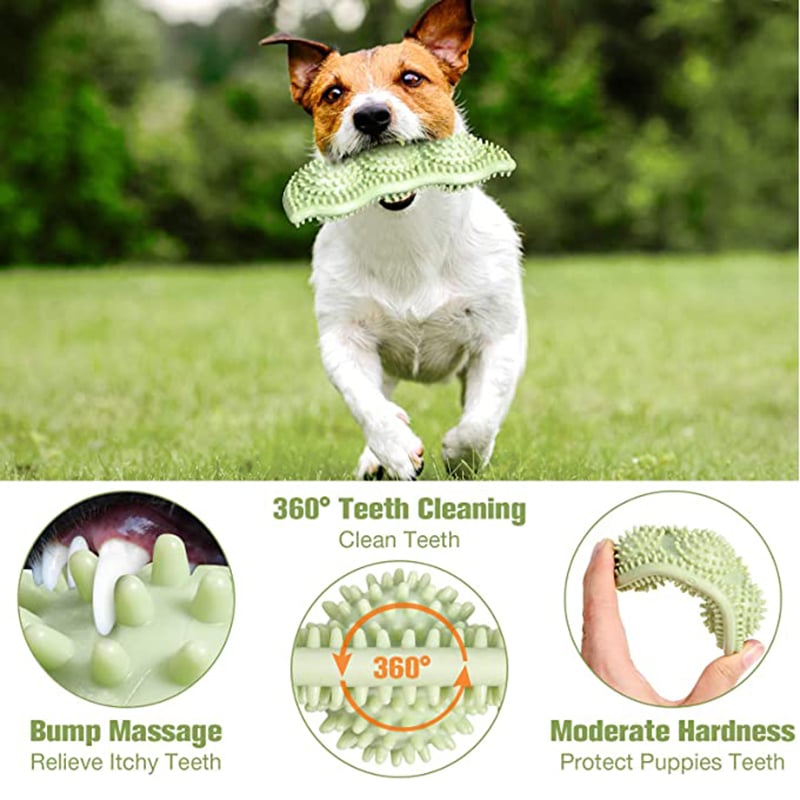 Bite-Resistant Dog Chew Toy – Durable TPR Stick for Interactive Play