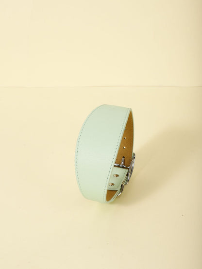 Adjustable Pet Collar – Soft, Stylish & Perfect Fit for Every Dog