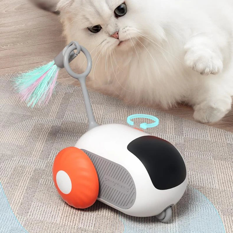 Interactive Cat Car Toy