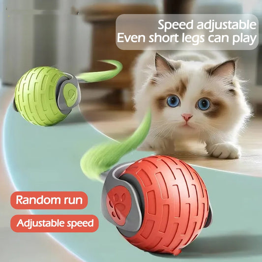 New Interactive Cat Toys Ball Auto