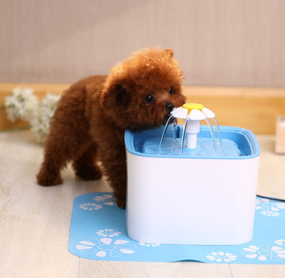 Automatic Pet Water Fountain for Cats & Dogs – 2.5L