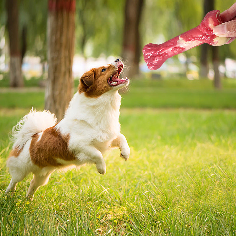 Rubber Dog Chew Bone – Bite-Resistant Molar Toy for Happy, Healthy Dogs