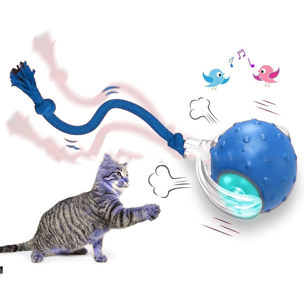 Cat toy with a blue ball and rope, featuring a cat interacting with it on a white background.