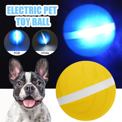 USB Rechargeable Smart Pet Toy Ball