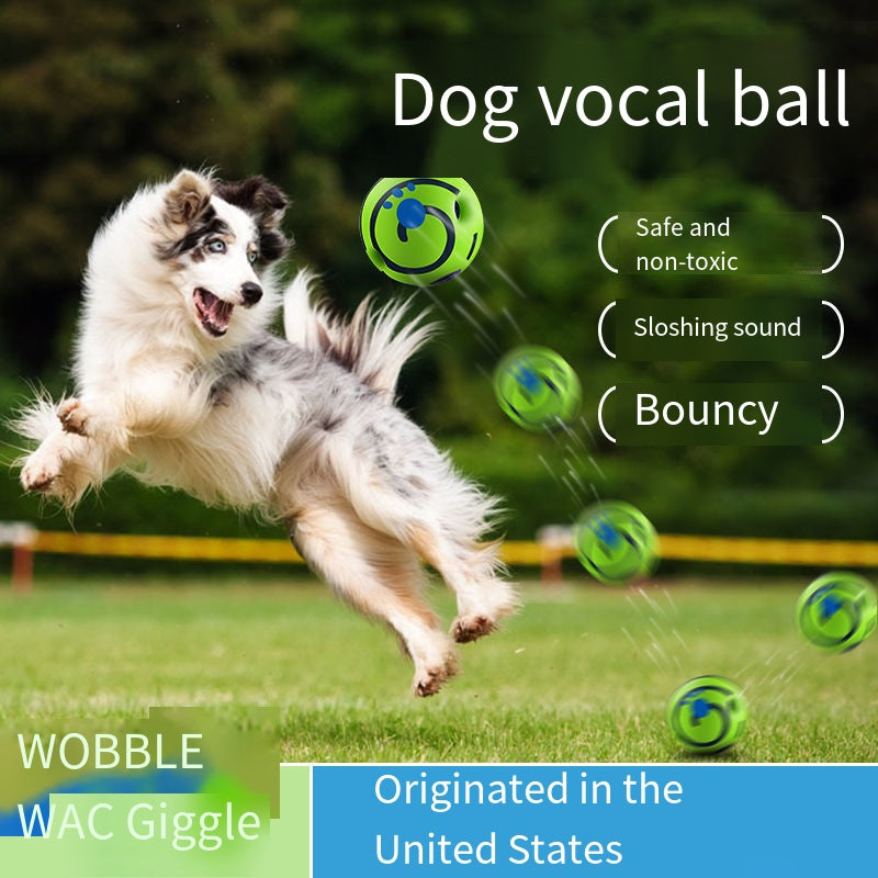 Sound-Making Dog Ball | Roll, Chase & Shared Play