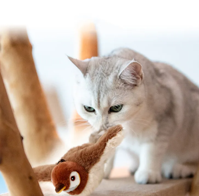 Squeaky Plush Pet Toy