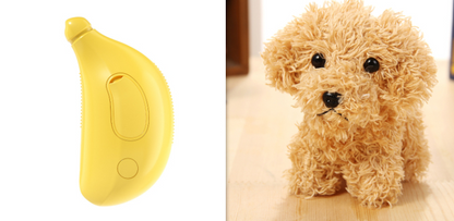 2-in-1 Pet Spray Grooming Brush