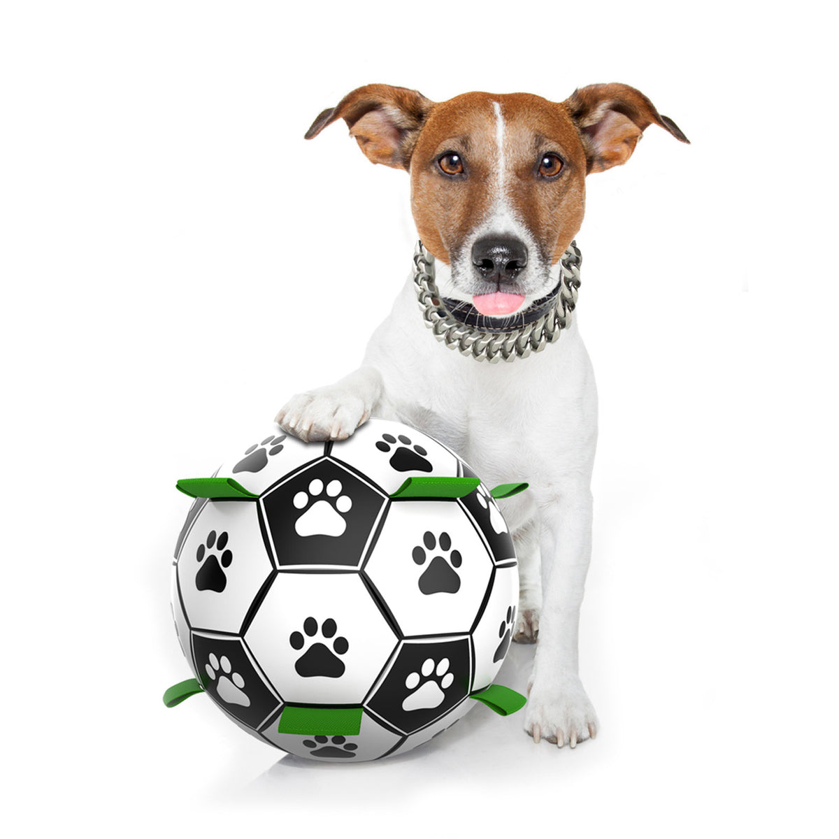 Sound-Making Dog Toy Ball