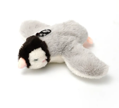 Squeaky Plush Pet Toy