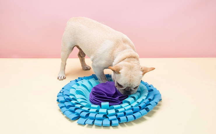 Hen & Egg Sniff Mat Puzzle Toy – Interactive Enrichment Set for Dogs & Cats