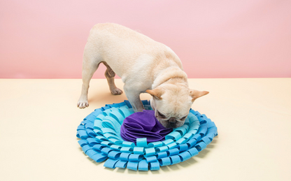 Hen & Egg Sniff Mat Puzzle Toy – Interactive Enrichment Set for Dogs & Cats