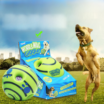 Sound-Making Dog Ball | Roll, Chase & Shared Play