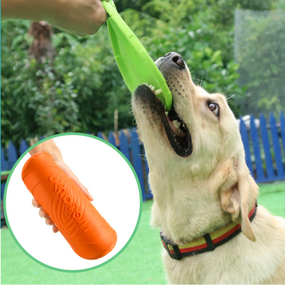 Dog Flying Disc | Outdoor Fetch & Shared Play