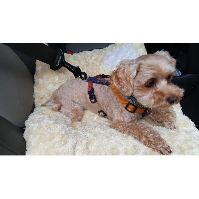 Pet Safety Seatbelt for Dogs – Secure, Stylish & Built for Every Journey