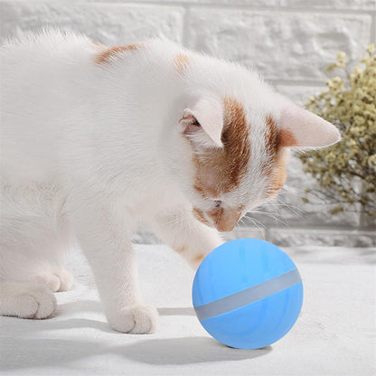 USB Rechargeable Smart Pet Toy Ball