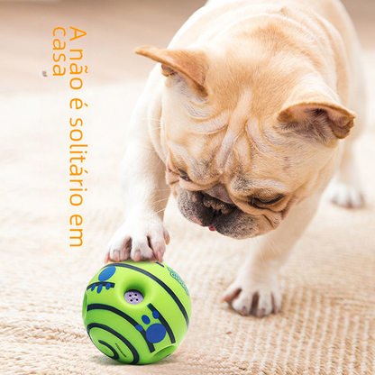 Sound-Making Dog Ball | Roll, Chase & Shared Play