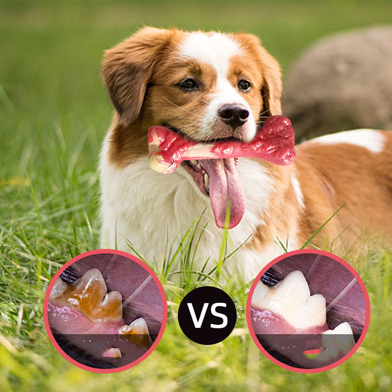 Rubber Dog Chew Bone – Bite-Resistant Molar Toy for Happy, Healthy Dogs