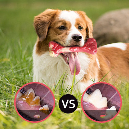 Rubber Dog Chew Bone – Bite-Resistant Molar Toy for Happy, Healthy Dogs