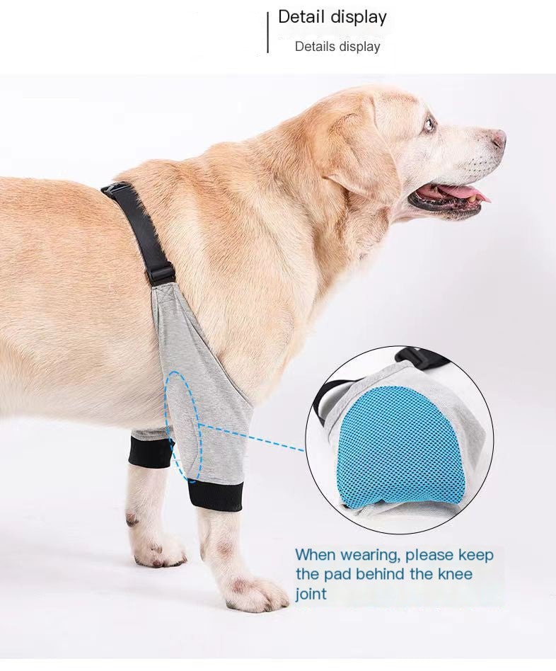 Dog Leg Protection Sleeve – Joint & Knee Guard for Recovering Pets