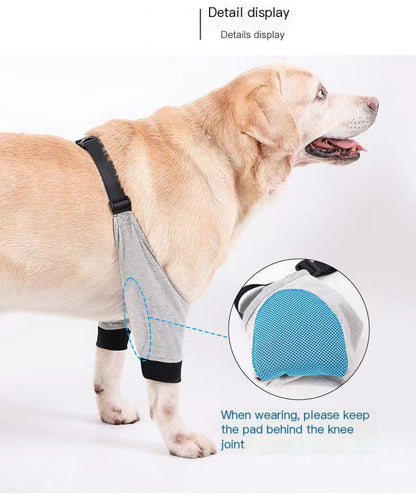 Dog Leg Protection Sleeve – Joint & Knee Guard for Recovering Pets