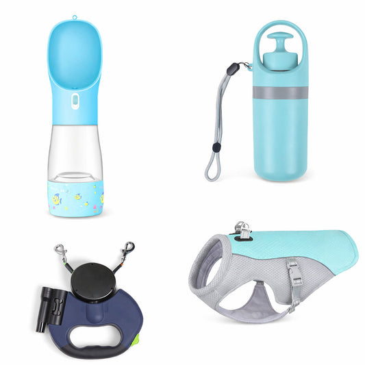 Dog Walk Essentials