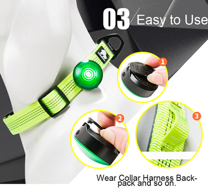 LED Dog Collar Light – Night Safety Glow for Every Walk