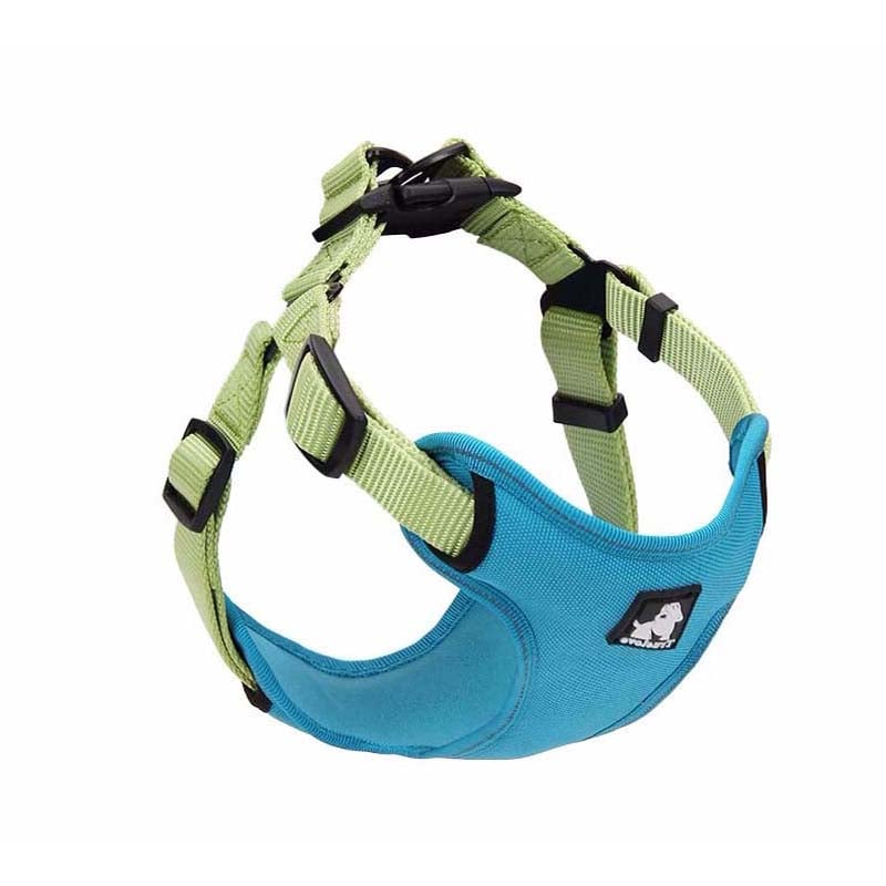 Dog Walking Leash and Collar Set
