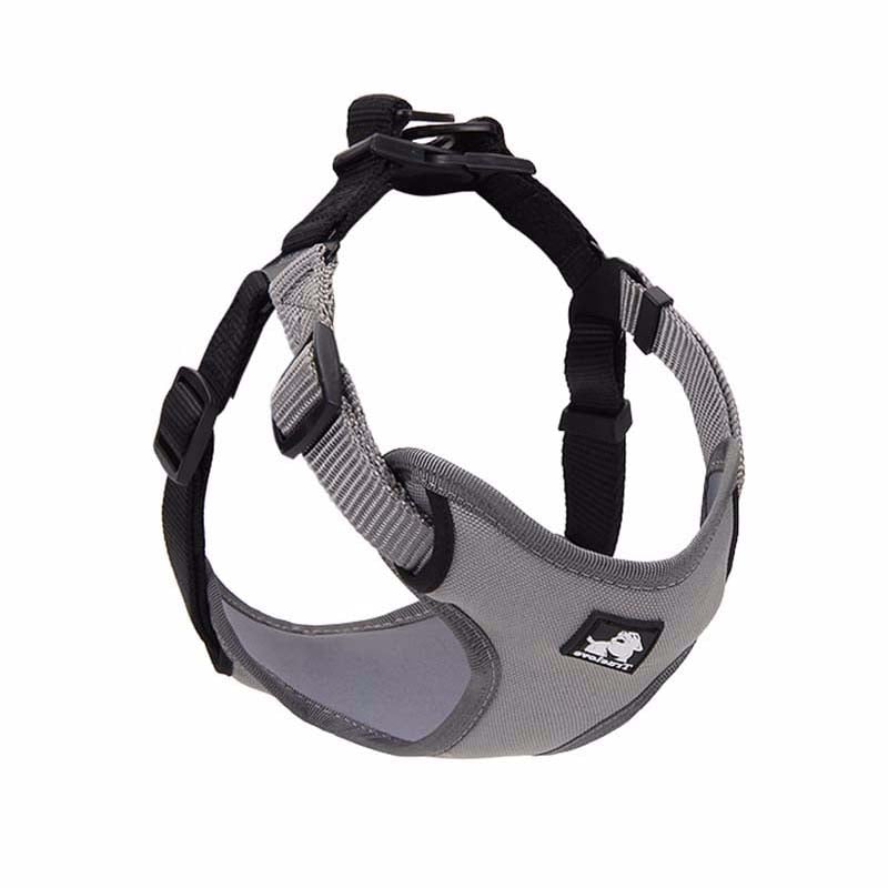 Dog Walking Leash and Collar Set