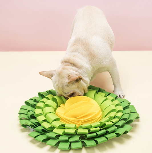 Hen & Egg Sniff Mat Puzzle Toy – Interactive Enrichment Set for Dogs & Cats