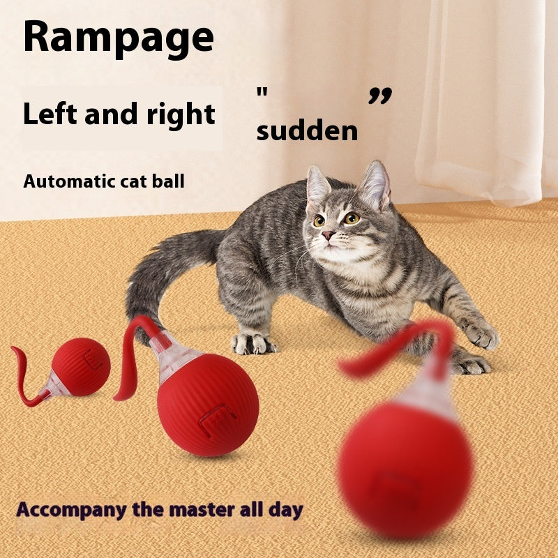 Cat playing with an automatic cat ball toy on a carpeted floor.