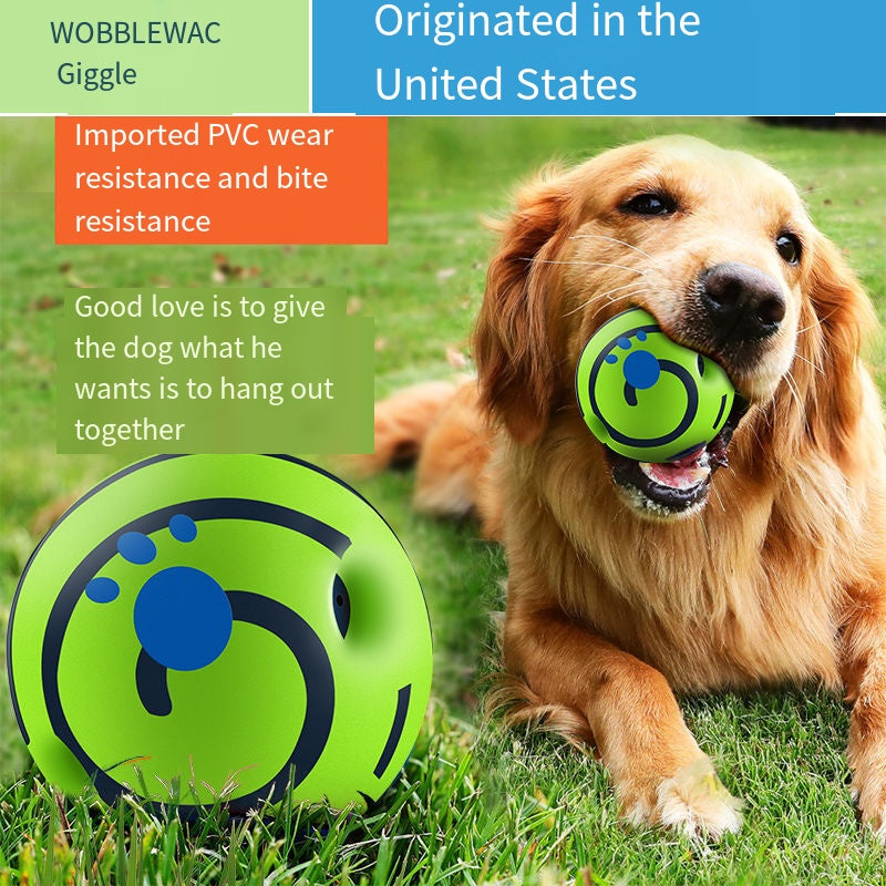 Sound-Making Dog Ball | Roll, Chase & Shared Play