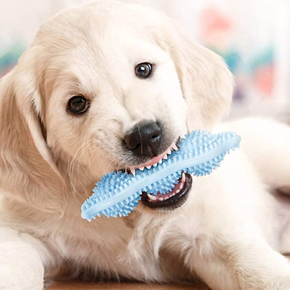 Bite-Resistant Dog Chew Toy – Durable TPR Stick for Interactive Play