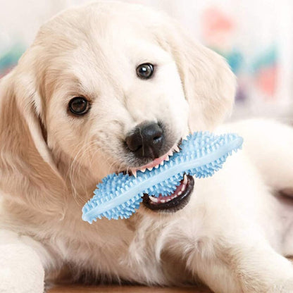 Bite-Resistant Dog Chew Toy – Durable TPR Stick for Interactive Play