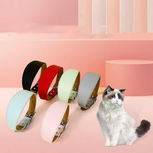Adjustable Pet Collar – Soft, Stylish & Perfect Fit for Every Dog