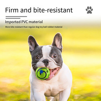 Sound-Making Dog Ball | Roll, Chase & Shared Play